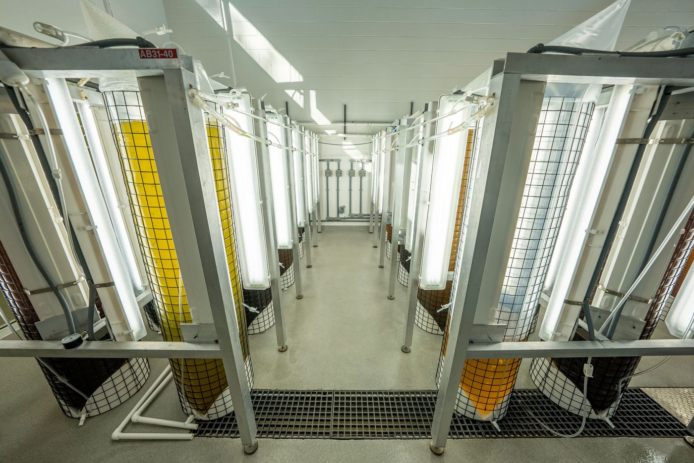 Controlled-environment laboratory facility